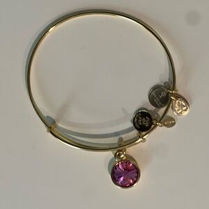 Alex & Ani bracelet